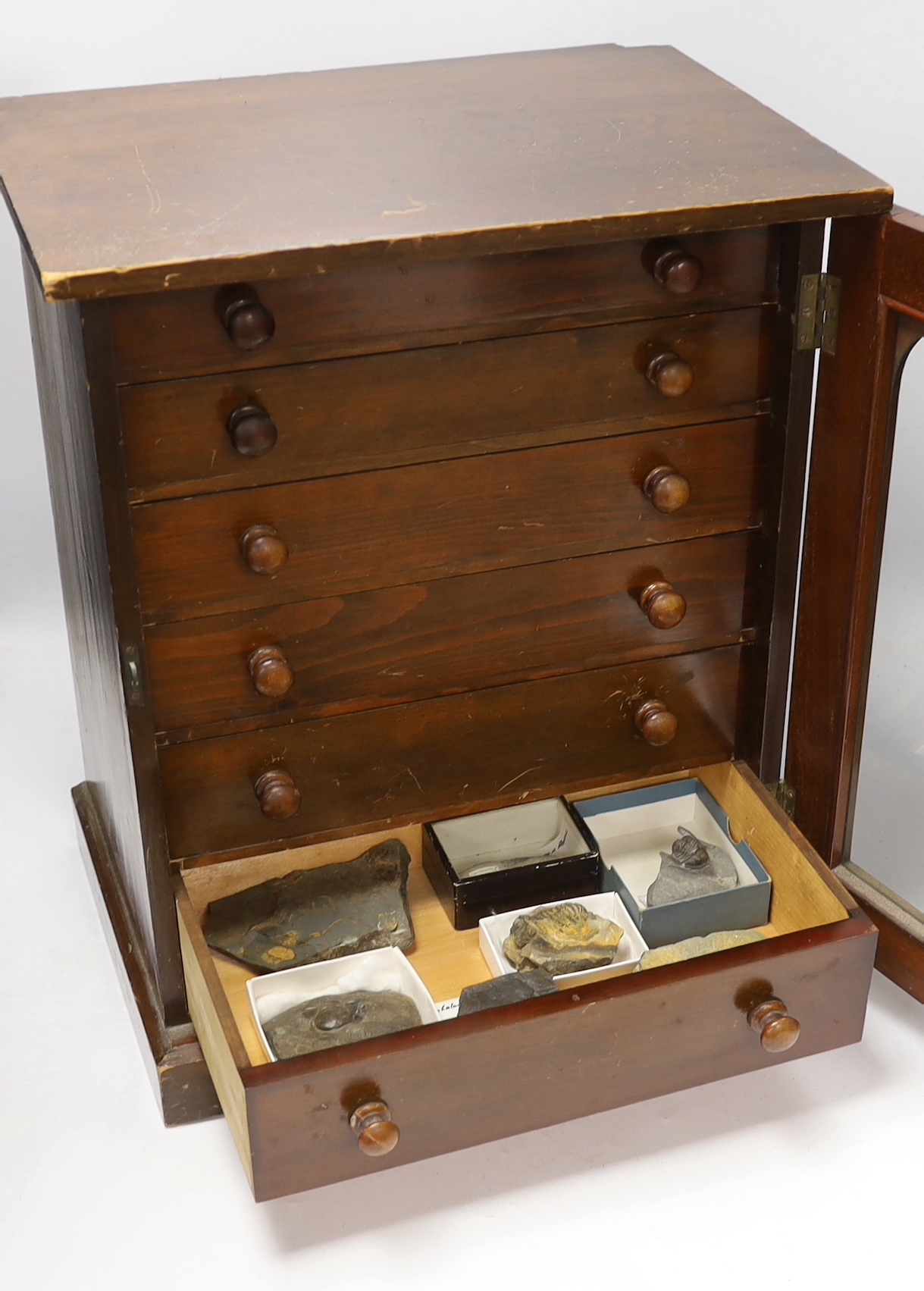 Fossil Trilobite interest; an early twentieth century six drawer pine collector’s cabinet of fossils, mainly Trilobite specimens on matrix (approx 35), etc. many specimens with labels, 47cm high, 38cm wide, 28cm deep